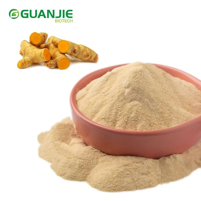 پودر زنجبیل خشک شده را اسپری کنید