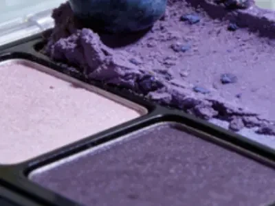 Pure Blueberry powder Pure Blueberry powder